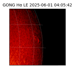 gong - 2025-06-01T04:05:42