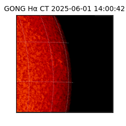 gong - 2025-06-01T14:00:42