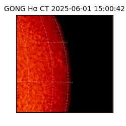 gong - 2025-06-01T15:00:42