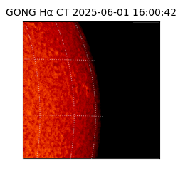 gong - 2025-06-01T16:00:42