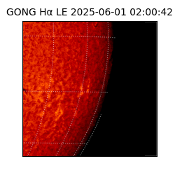 gong - 2025-06-01T02:00:42