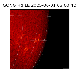 gong - 2025-06-01T03:00:42