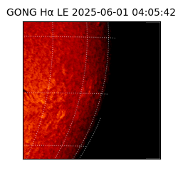 gong - 2025-06-01T04:05:42