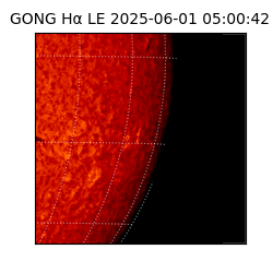 gong - 2025-06-01T05:00:42