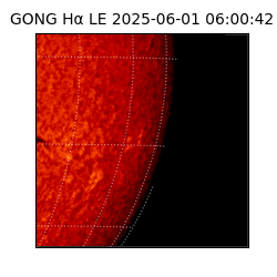 gong - 2025-06-01T06:00:42