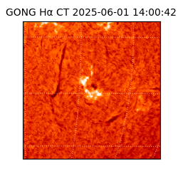 gong - 2025-06-01T14:00:42