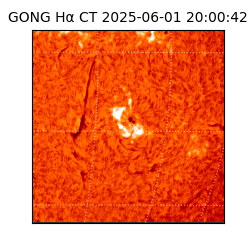 gong - 2025-06-01T20:00:42
