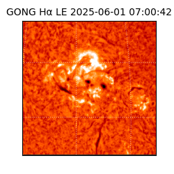 gong - 2025-06-01T07:00:42