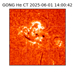 gong - 2025-06-01T14:00:42