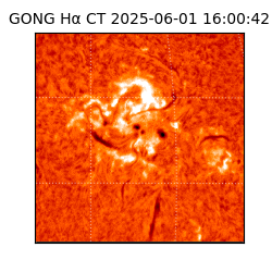 gong - 2025-06-01T16:00:42