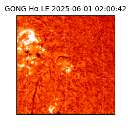 gong - 2025-06-01T02:00:42