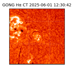 gong - 2025-06-01T12:30:42