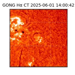 gong - 2025-06-01T14:00:42
