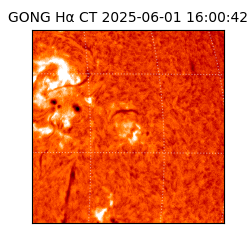 gong - 2025-06-01T16:00:42