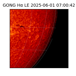 gong - 2025-06-01T07:00:42