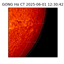 gong - 2025-06-01T12:30:42