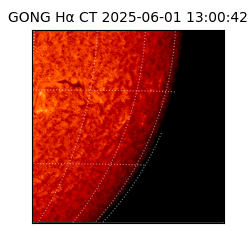 gong - 2025-06-01T13:00:42