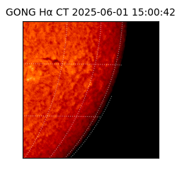 gong - 2025-06-01T15:00:42