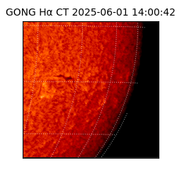 gong - 2025-06-01T14:00:42