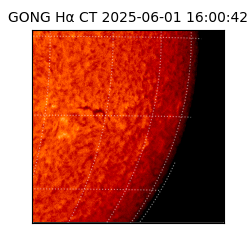 gong - 2025-06-01T16:00:42