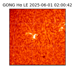 gong - 2025-06-01T02:00:42