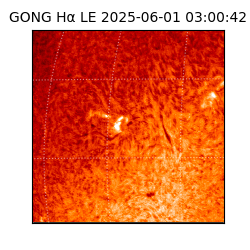 gong - 2025-06-01T03:00:42