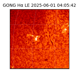 gong - 2025-06-01T04:05:42