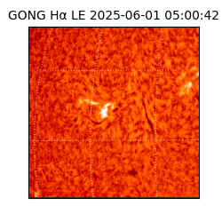 gong - 2025-06-01T05:00:42