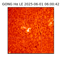 gong - 2025-06-01T06:00:42