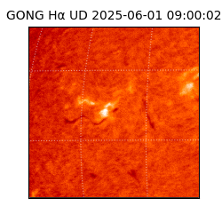 gong - 2025-06-01T09:00:02