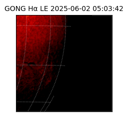 gong - 2025-06-02T05:03:42