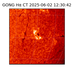 gong - 2025-06-02T12:30:42