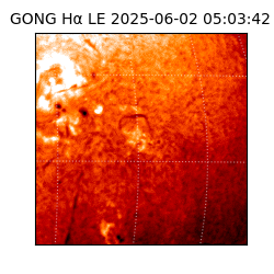 gong - 2025-06-02T05:03:42