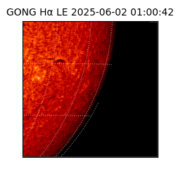 gong - 2025-06-02T01:00:42