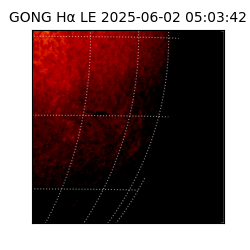 gong - 2025-06-02T05:03:42