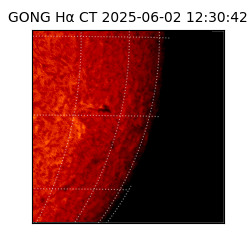 gong - 2025-06-02T12:30:42