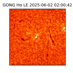 gong - 2025-06-02T02:00:42