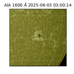 saia - 2025-06-03T03:00:14.125000