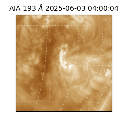saia - 2025-06-03T04:00:04.843000