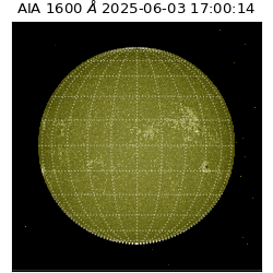 saia - 2025-06-03T17:00:14.125000
