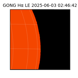 gong - 2025-06-03T02:46:42