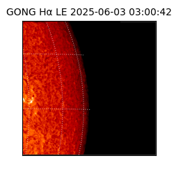 gong - 2025-06-03T03:00:42
