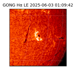 gong - 2025-06-03T01:09:42