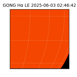 gong - 2025-06-03T02:46:42