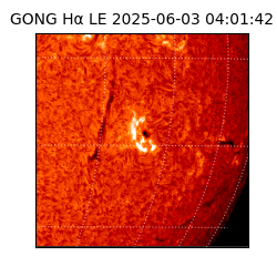 gong - 2025-06-03T04:01:42