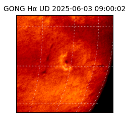 gong - 2025-06-03T09:00:02