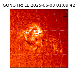 gong - 2025-06-03T01:09:42