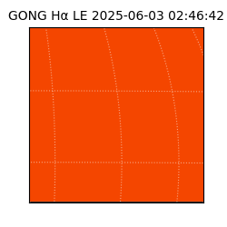 gong - 2025-06-03T02:46:42