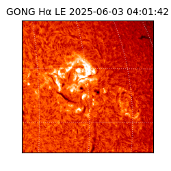 gong - 2025-06-03T04:01:42