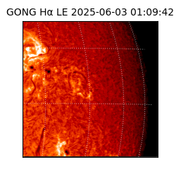gong - 2025-06-03T01:09:42